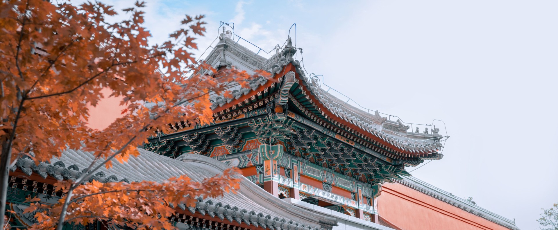 轮播大图