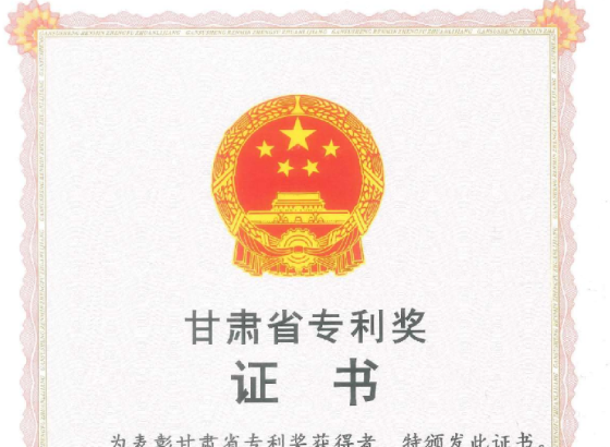 甘肃省专利奖二等奖